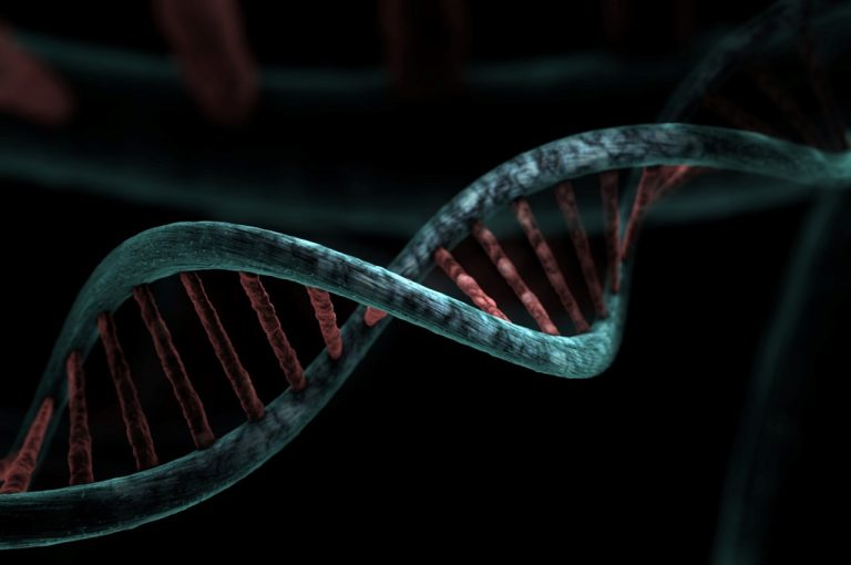 The Human Genome Project